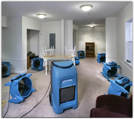 Drying & Dehumidification in Bell, CA