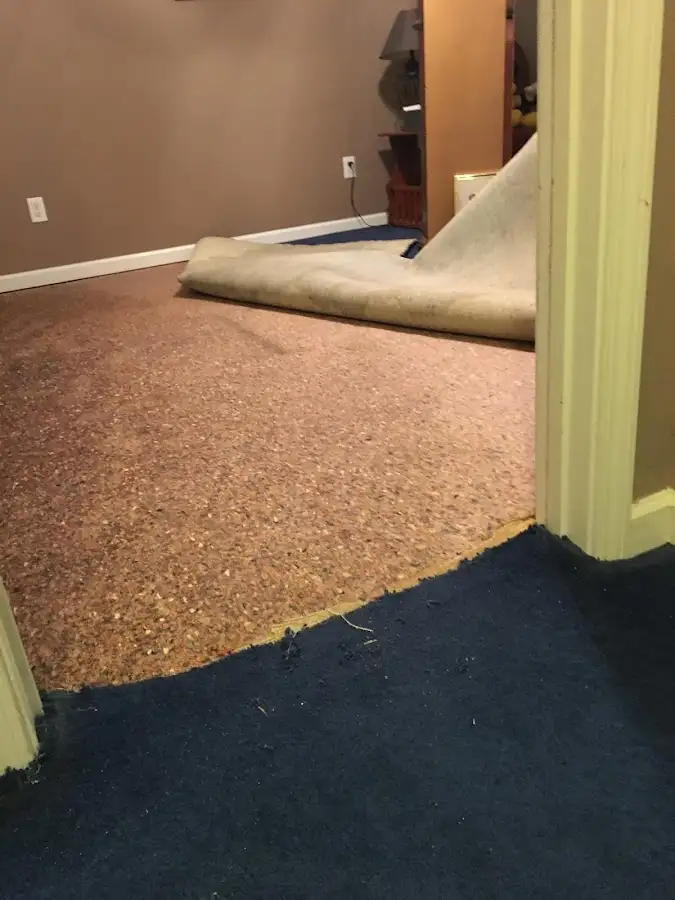 Carpet pad removal revealing water damage during Drying & Dehumidification in Bell