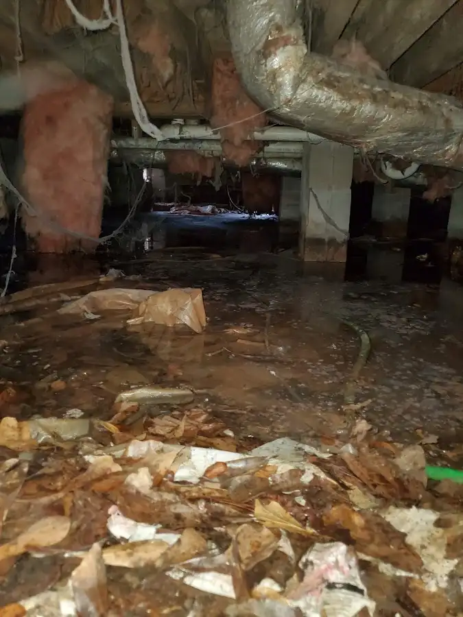 Crawl space flood assessment for Commercial Water Damage Restoration in Bell