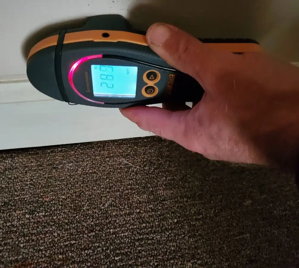 Moisture detection at baseboard during Sewage Cleanup & Sanitation in Bell
